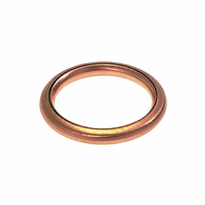 Basic Type Metal Gaskets Wth Loose Outer Ring With Integral Pipe Fittings