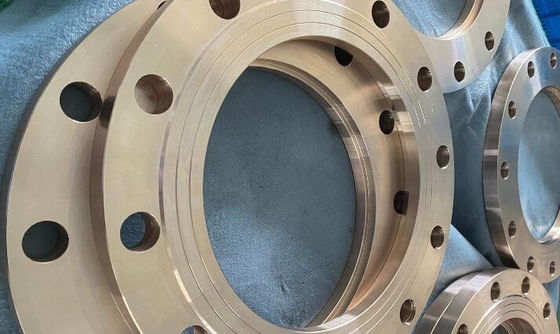 C71500 CuNi 70/30 Raised Face Weld Neck Flange, Forged Copper Nickel Pipe Flange