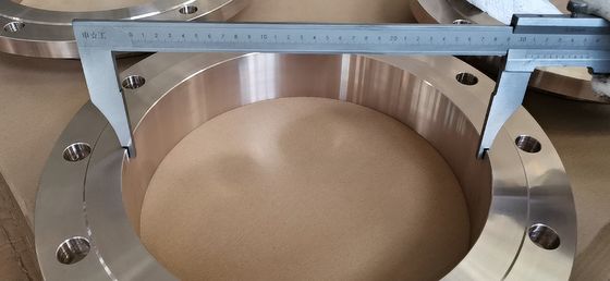 Copper Nickel Flange C70600 C71500 Forged  Slip On Flange